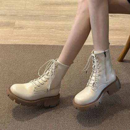 Gothic Platform Ankle Boots Women Thick Bottom Pu..