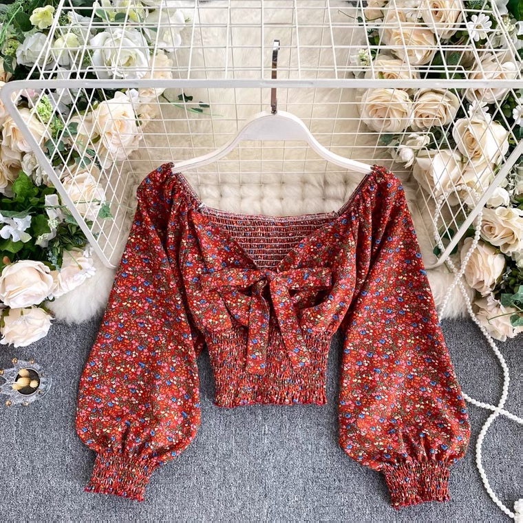 Short Puff Sleeve Color Contrast V-notched Neck Floral Top main image 1