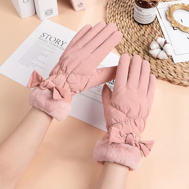 Winter, Ladies' Gloves, Velvet And Thickened, Rain Proof Silk Gloves, Outdoor Wind And Cold Proof, Warm Touch Screen Gloves