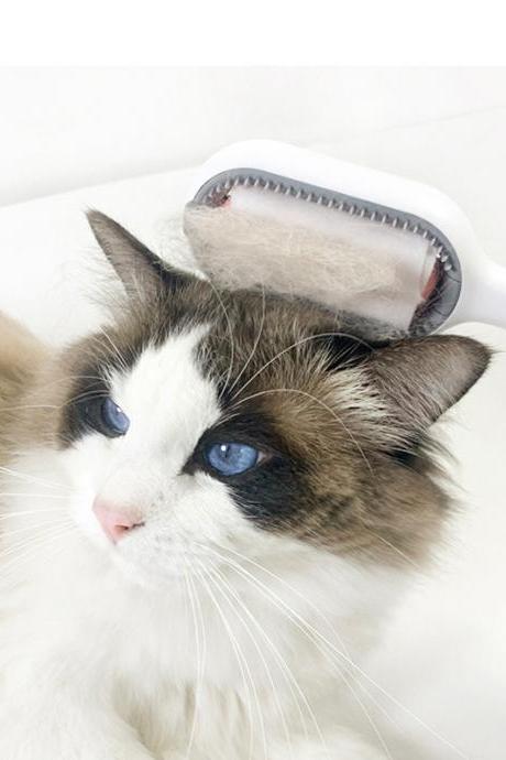 Pet Hair Removal Brush Dog Hair Comb Clean Hair Fading Cat Comb Pet Cleaning Grooming Short Hair Special Cleaning Pet Supplies