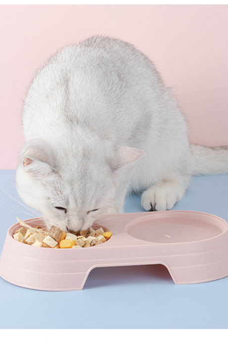 Macaron Pet Double Bowl Plastic Kitten Dog Food Bowl Drinking Tray Feeder Cat Feeding Pet Supplies Cat Accessories Pet Food Bowl